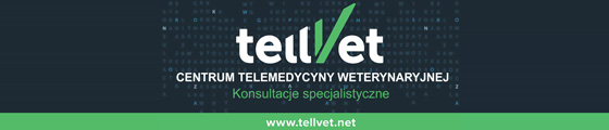 tellvet platforma medyczna stworzona przez lekarzy dla lekarzy